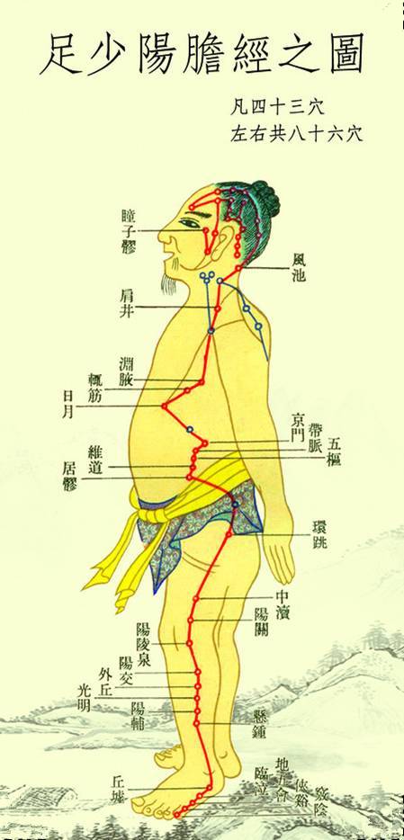 "凡十一脏取决于胆也,敲胆经:生阳气,补气血,扶正气